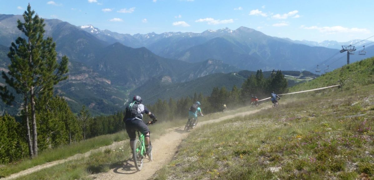 singletrack safari