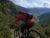 Snowline Trail Enduro Mountain Biking Andorra Natural Singletrack