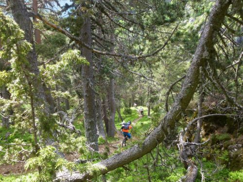 Endor section Big Cat Trail Enduro Mountain Biking Andorra Natural Singletrack