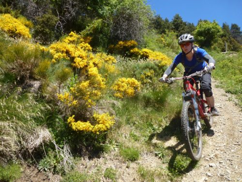 21 Questions descent on Snowline enduro mountain biking andorra