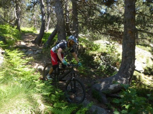 In the woods on Big Cat Trail enduro mountain biking andorra