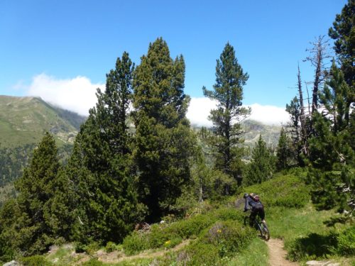 Entering the treeline near Soldeu