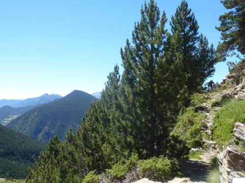 Ridegeliner lower section Enduro Mountain Biking Andorra Natural Singletrack