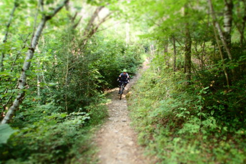 Near the end of OCD descent enduro mountain biking andorra
