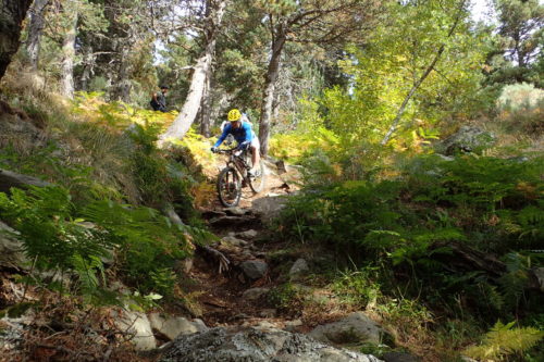 Endor descent on Big Cat trail enduro mountain biking andorra